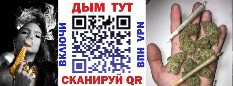 Купить наркотики Асино Псилоцибиновые грибы  Cocaine  Гашиш  Бошки Шишки  Alpha-PVP 
