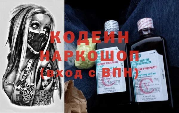 индика Алексин
