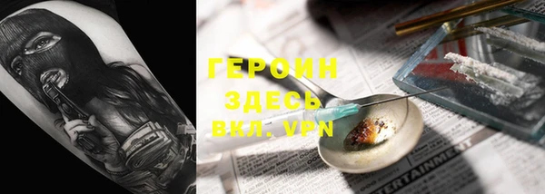 индика Алексин