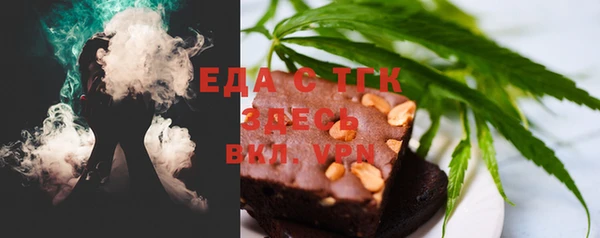индика Алексин