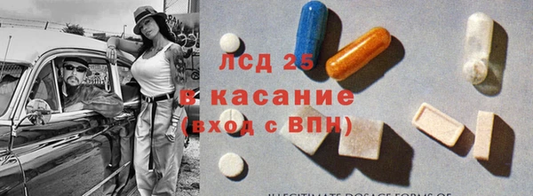 индика Алексин
