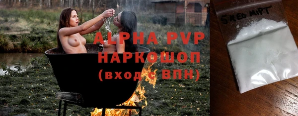 индика Алексин