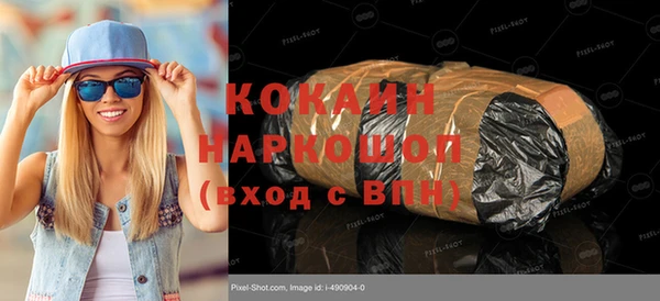 прущие грибы Ельня