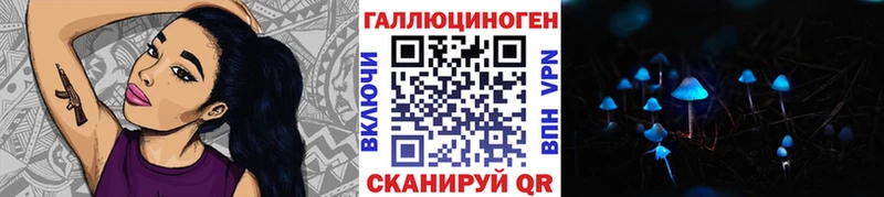 mega tor  сколько стоит  Асино  Псилоцибиновые грибы мухоморы 