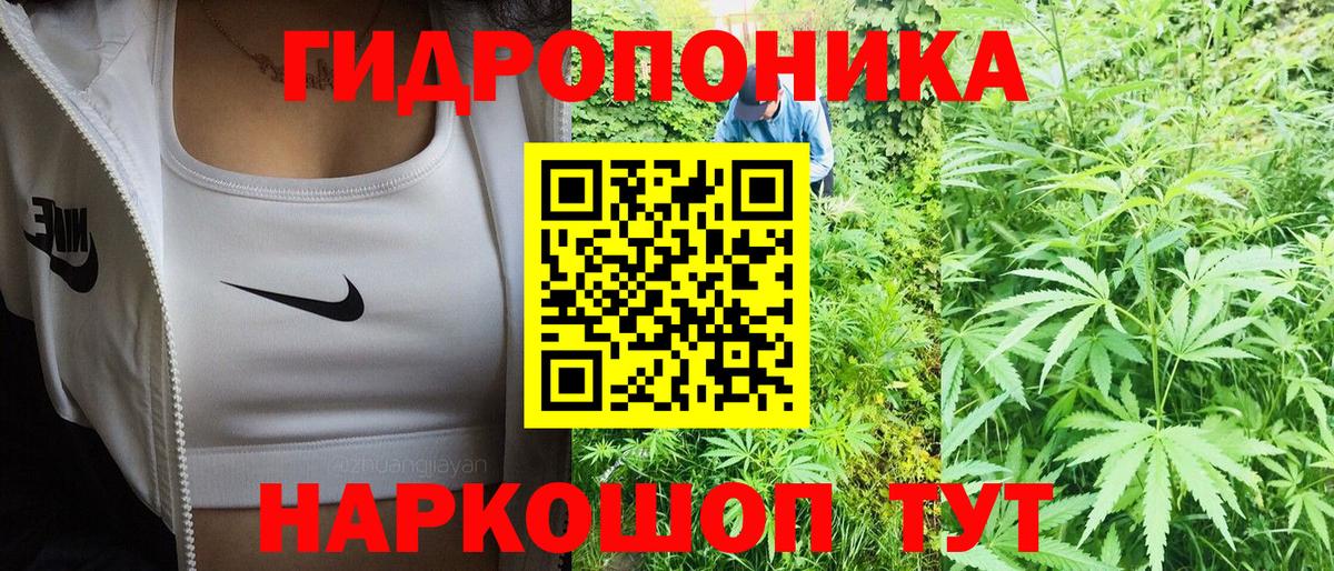 МАРИХУАНА Amnesia Асино